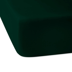 Bed sheet 200 x 220 with elastic Satin Anthem 021