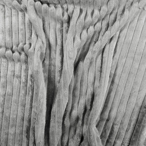 Blanket 200 x 220 Microfiber Plush Cadence Stripes 01