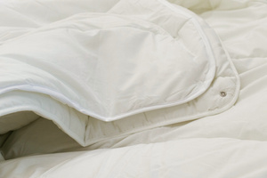 Duvet 200 x 220 Anti-allergic 4 Seasons Ina 02