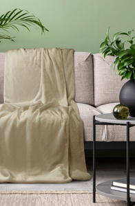 Blanket 200 x 220 Microfiber Two-sided Tedy Beige