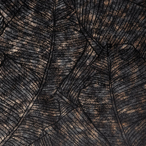 Curtain 135 x 270 Decorative Velvet Tulia Black