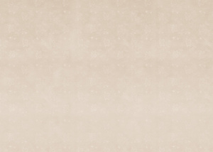 Tablecloth PVC 140 x 400 Gosia 59