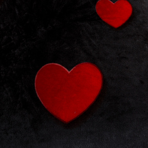 Blanket 160 x 200 Microfiber Smooth Inger 09