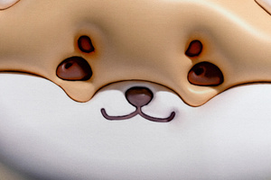 3D anti-slip absorbent bathroom mat Magic 10