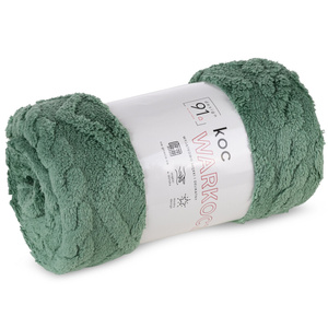 Blanket 200 x 220 Design Microfiber Braid Mint