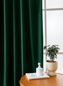 Curtain 140 x 250 Velvet Tunnel Tape Giorgia 11