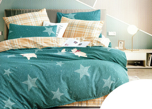 Bedding 160 x 200 3pc Microfiber HXDD-1222