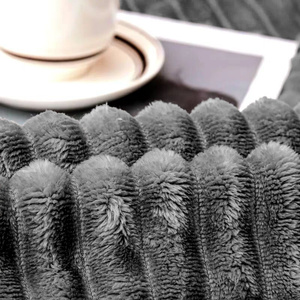 Blanket 200 x 220 Microfiber Plush Cadence Stripes 02