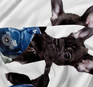 Bedding 160 x 200 3pcs Microfiber 3D Andreas 3034