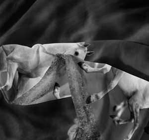 Bedding 140 x 200 2pcs Microfiber 3D Andreas 3033