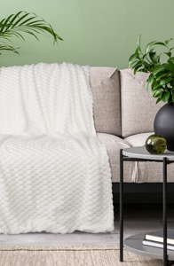 Blanket 200 x 220 Microfiber Design Cindy6 White
