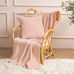 150 x 200 Plush Microfiber Willy Powder Blanket