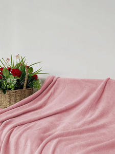 Blanket 200 x 220 Microfiber Solid Juana 09