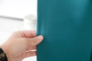 Curtain 140 x 250 Eyelet Blackout Edoardo 05