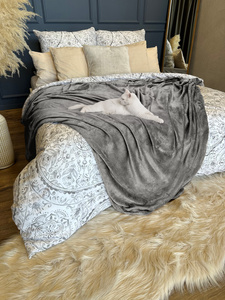 Blanket 200 x 220 Microfiber Solid Juana 04