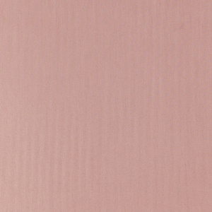 Sheet 200 x 220 With Eraser Nova3 Powdery