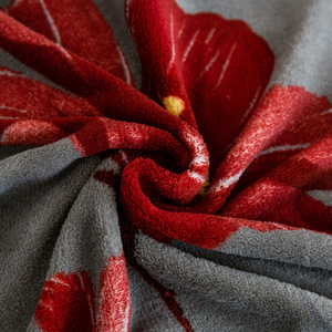 Bedding 140 x 200 2cz Microfiber Teddy Martino 3184