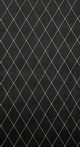 Pierre Cardin Margo Curtain Black 140 x 250 Slipcover