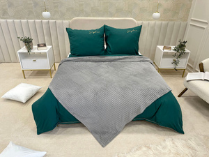 Blanket 200 x 220 Microfiber Plush Cadence Stripes 01