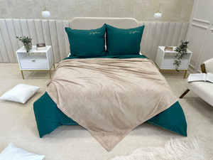 Blanket 160 x 200 Microfiber Plush Stripes Cadence 04