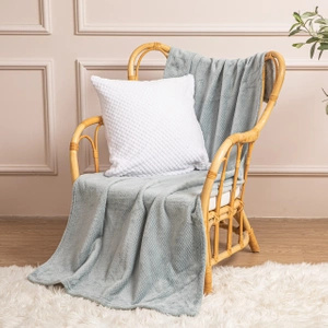 70 x 150 Plush Microfiber Willy Grey Blanket