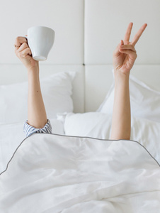 Duvet 160 x 200 Microfiber Summer German 01