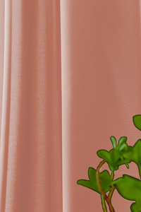 Curtain 140 x 250 Decorative Single Leoni 06 T