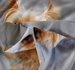 Bedding 160 x 200 3-piece Microfiber 3D Andreas 1499