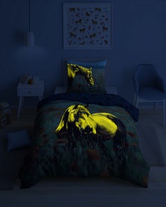 Bedding 140 x 200 2pcs FLUO Youth Jaime 5550A