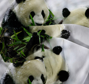 Bedding 140 x 200 2pcs Microfiber 3D Andreas 3031