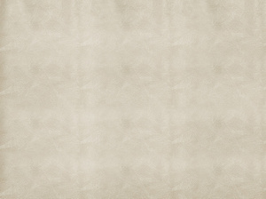 Tablecloth PVC Table Cover 140 x 220 Gosia 46