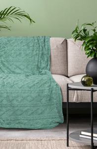 Blanket 200 x 220 Design Microfiber Braid Mint