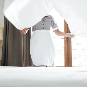 Bed sheet 220 x 260 Without Gum Hotel Cotton Iris