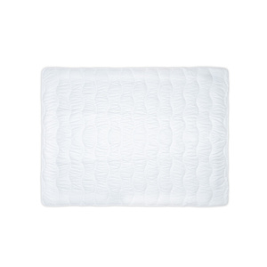 Mattress Protector with 4 Straps 220 x 200 Ramon