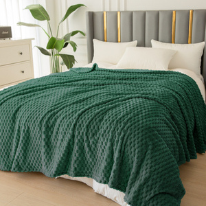 Blanket 160 x 200 Microfiber Embossed Cristián 01