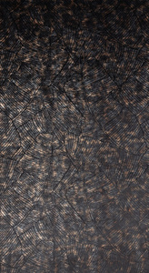 Curtain 135 x 270 Decorative Velvet Tulia Black