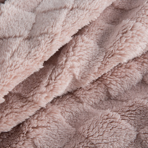 70 x 160 Stamped Plush Nancy Powder Blanket