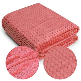 Microfiber Embossed Zigzag Coral Blanket 200x220
