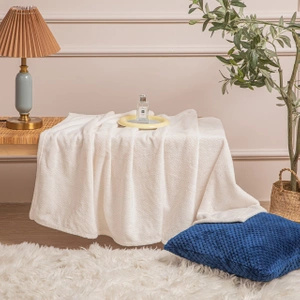 70 x 150 Plush Microfiber Willy Cream Blanket