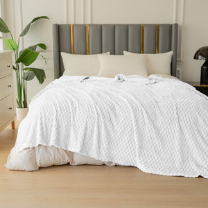 Blanket 160 x 200 Microfiber Embossed Cristian 04