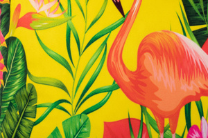 Tropical Velvet Decorative Pillowcase 08 40x40