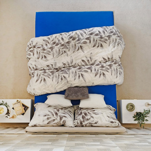 Bed sheet 160 x 200 Jersey with elastic Gaja 10