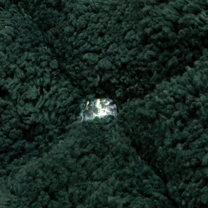 Cotton Carpet 60 x 90 Chic 2 Dark Green