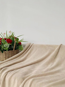 Blanket 200 x 220 Microfiber Solid Juana 08