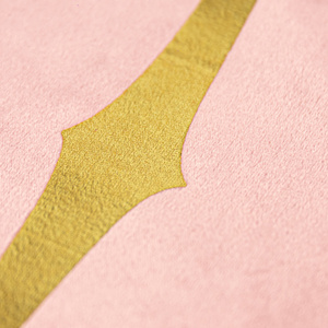 Tala Velvet 40 x 40 Decorative Pillowcase 08