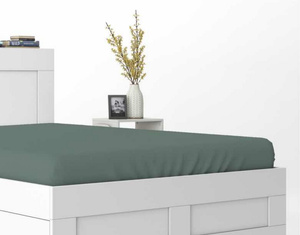 Bed sheet 220 x 200 Satin with elastic Pure 09