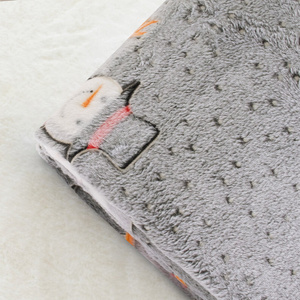 Blanket 150 x 200 Microfiber Fluorescent Peter 16